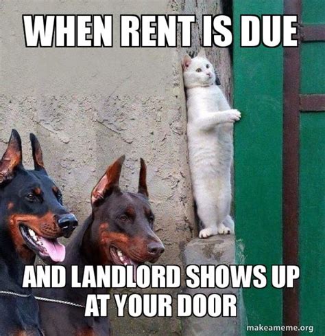 meme rent